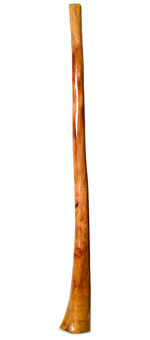 Gloss Finish Flared Didgeridoo (TW1206)